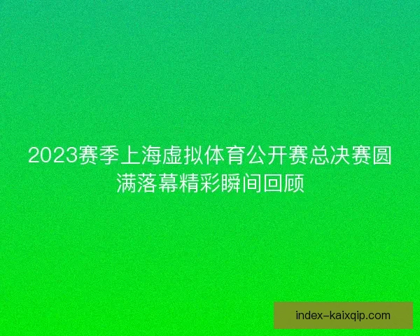 2023赛季上海虚拟体育公开赛总决赛圆满落幕精彩瞬间回顾